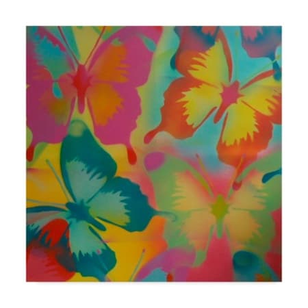 Abstract Graffiti 'Butterflies' Canvas Art,24x24